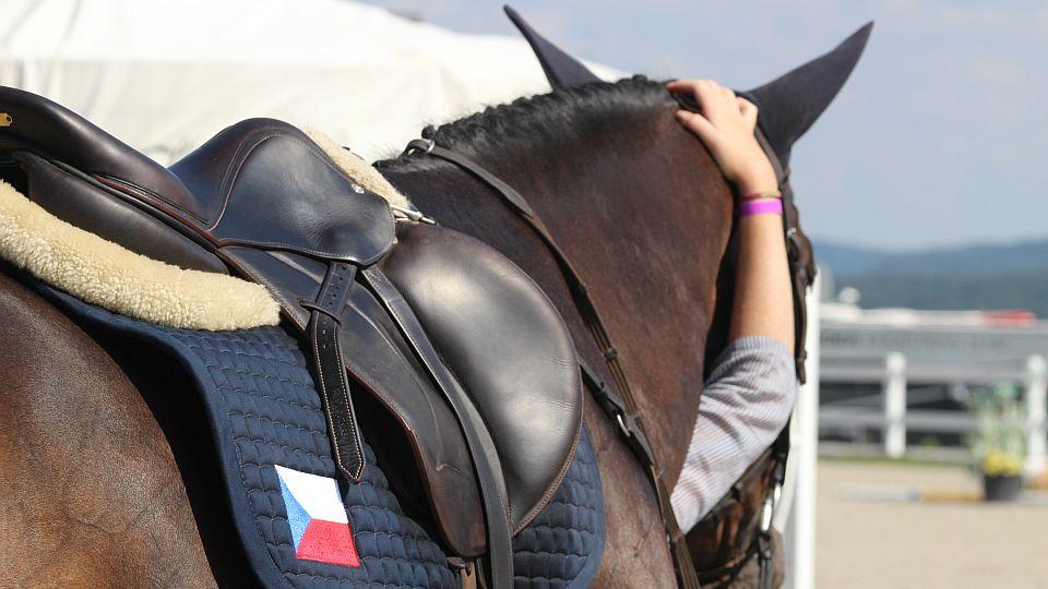 Otočka ministra zdravotnictví šokuje sportovní prostředí, uvedl ČOV
