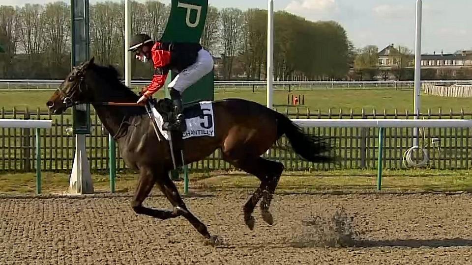 Další úspěch ve Francii: Ideal King si pohrál se soupeři v Chantilly