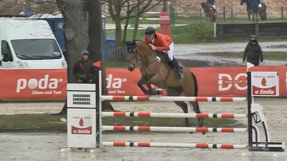 Příhoda s Ferreolusem si po parkuru ve Strzegomi polepšili. Jsou šestí