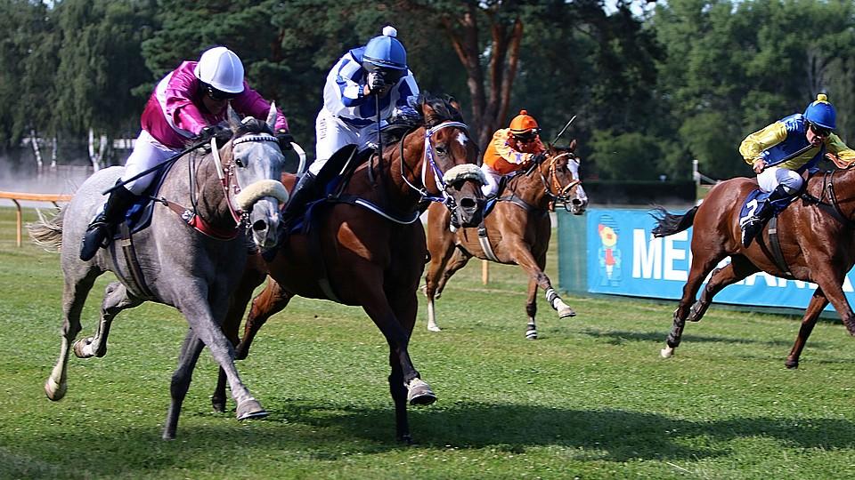 Živě: Aeneas versus Kratochvíl. Sledujte Prvomájovou steeplechase