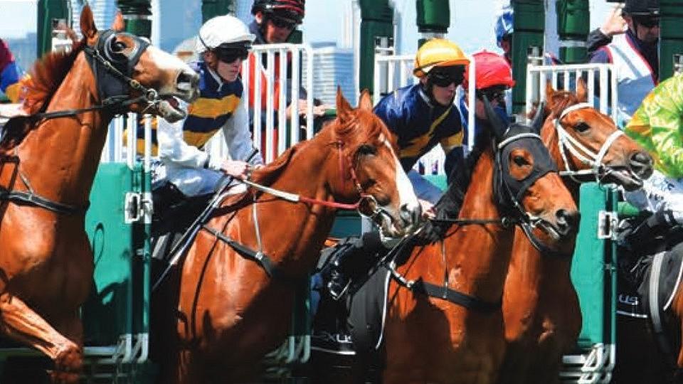 Melbourne Cup zavádí přísná opatření, chce snížit riziko zranění