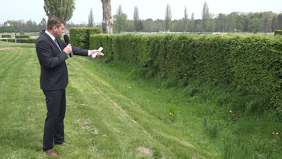 Rozhovor u Taxisu: Jaroslav Müller o návratu diváků i generačním sporu