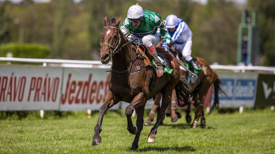Equinews: No Time To Lose vyhrál v Pardubicích. Druhá LGCT v Madridu