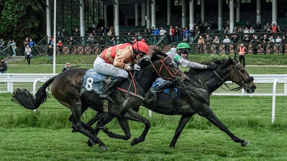 Čtyři vítězství pro tři trenéry. Pavel Složil si podmanil Wroclaw