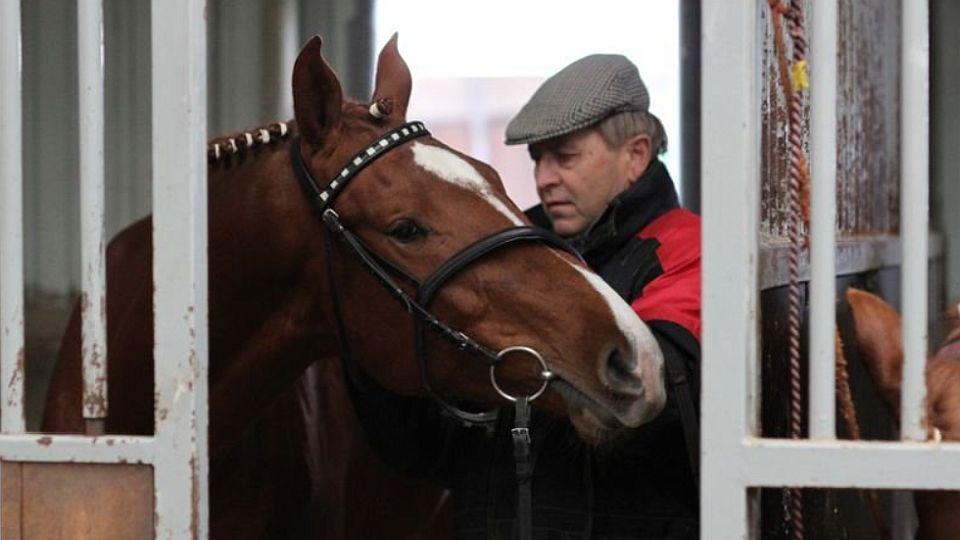 Odešel velký odborník, chovatel koní, osobnost. Zemřel Zdeněk Müller