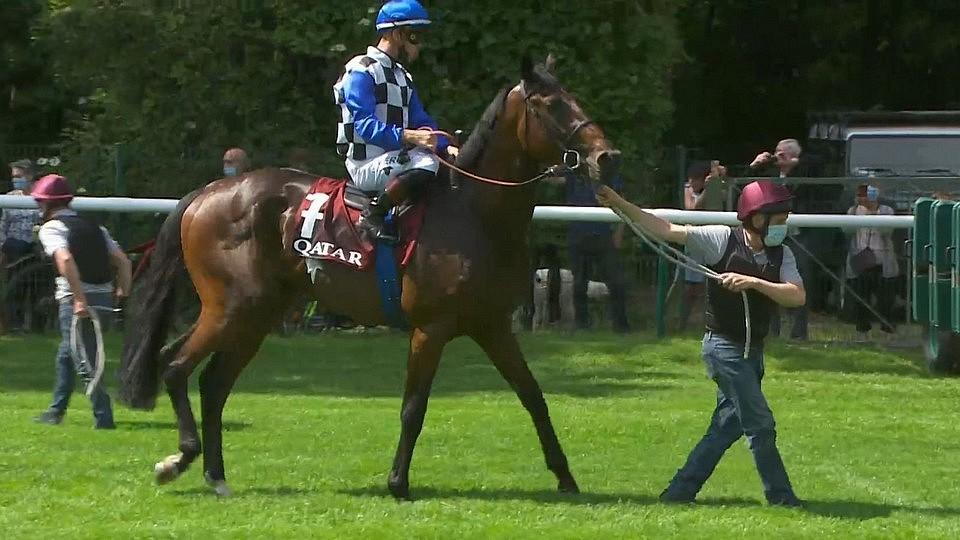 Royal Word na elitu v derby nestačil, Nagano Gold zažil "pochoďák"