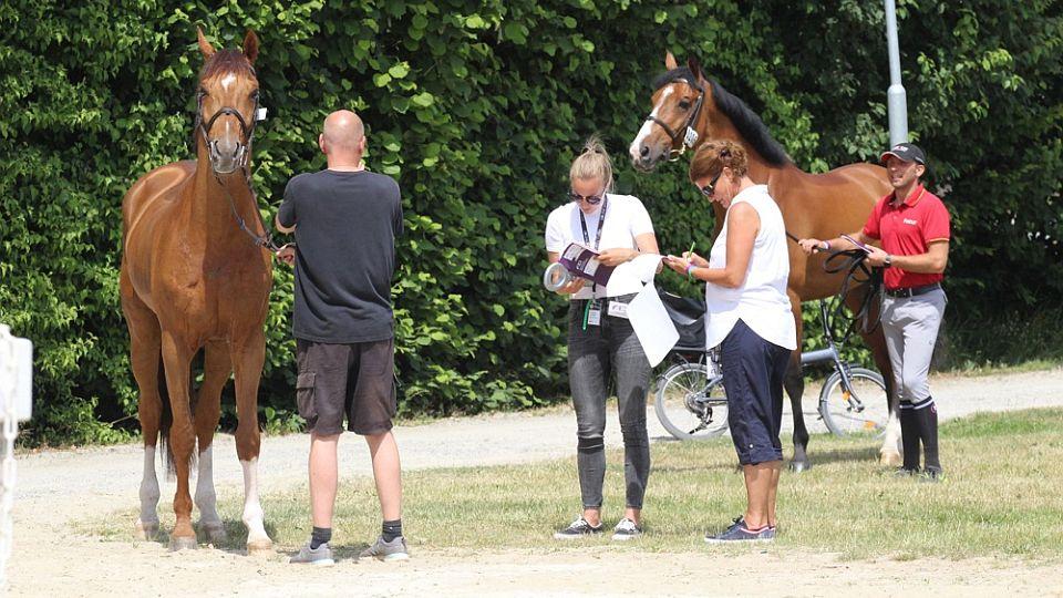 CSI2*-W Olomouc 2021 startuje. Zase jsme trhli rekord, říká Hubáčková