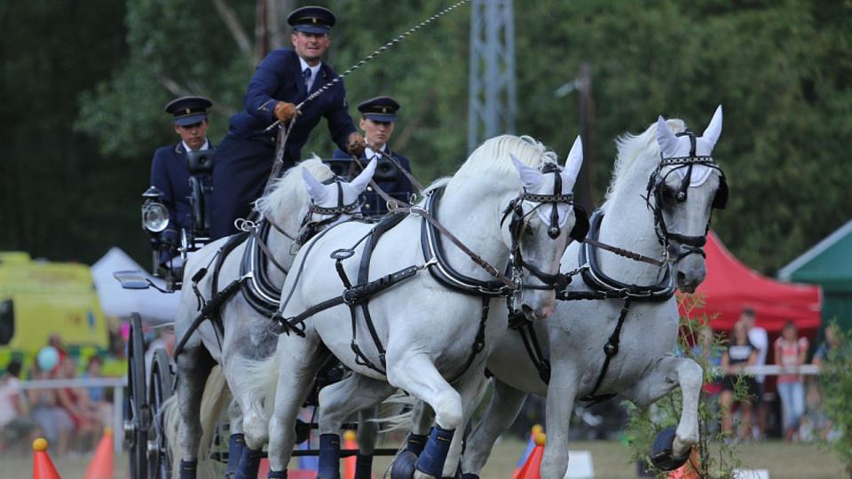 Živě: Vozatajská elita v Nebanicích. Maraton a parkur CAIO-W na EquiTV
