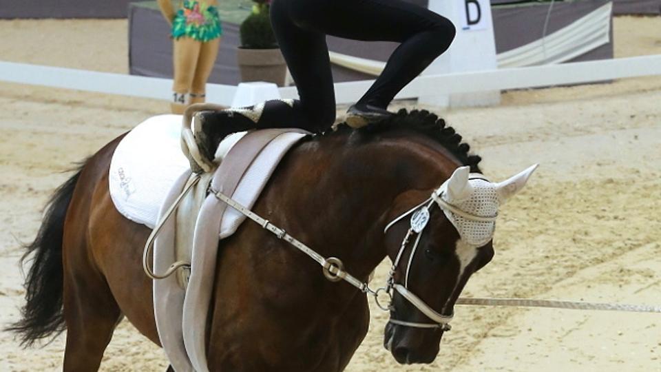 Dění v týdnu: Voltižéry čeká mistrovství světa, Vrchovany hostí MČR