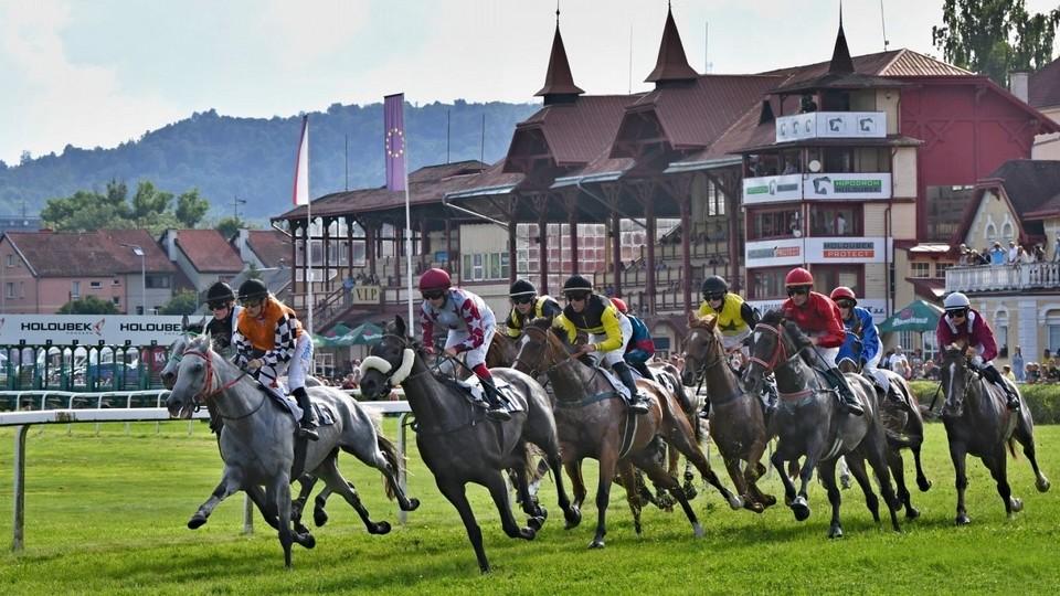 Živě: Kdo bude královna tříletých? Sledujte klasické Oaks na EquiTV.cz