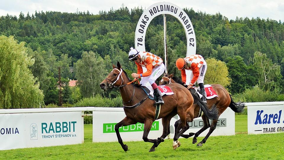 Equinews: Stájový doběh v Oaks, Lombargini vládl v Pardubicích
