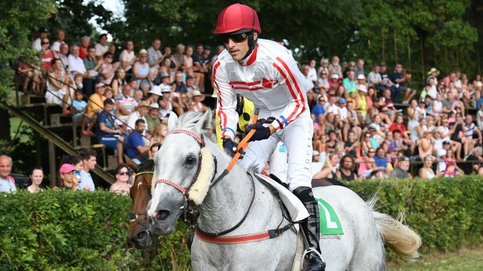 Marcus Aurelius "omládl" v Netolicích, L' Estran se vrátil na výsluní