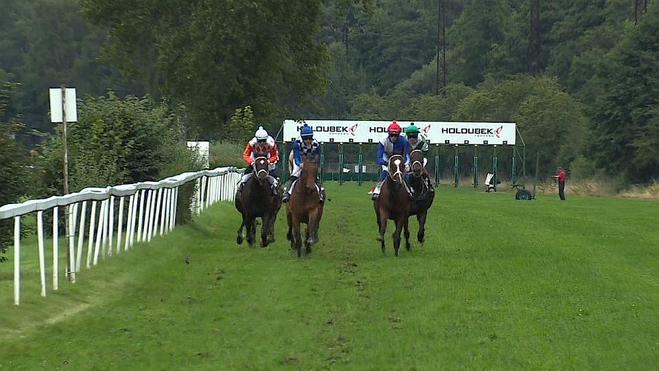 Equinews: Karlovy Vary přály českému chovu. Kane Fortuna nezklamal