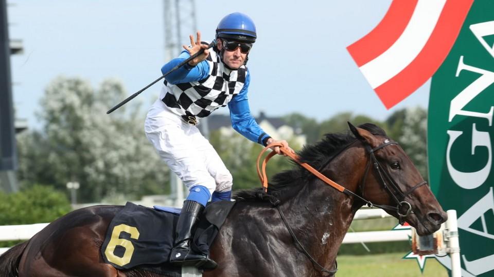 Spanilá jízda Royal Worda v Rakouském derby, Verner získal St. Leger
