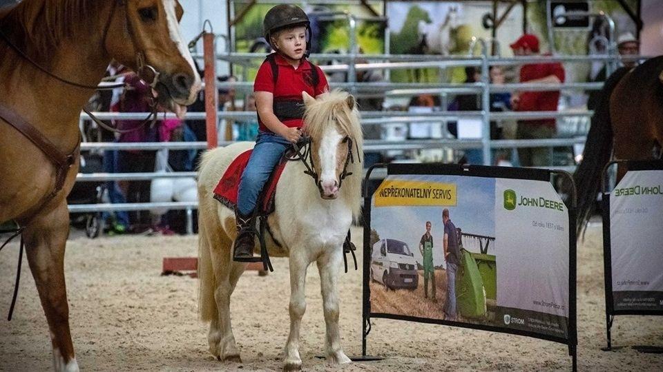 Koně v Brně stokrát jinak. Pestré čtyři zářijové dny na výstavišti