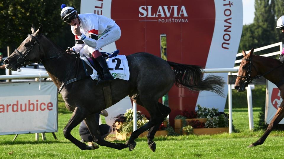 Pardubické dostihy: Hattrick do Němčic, double do Pegasu