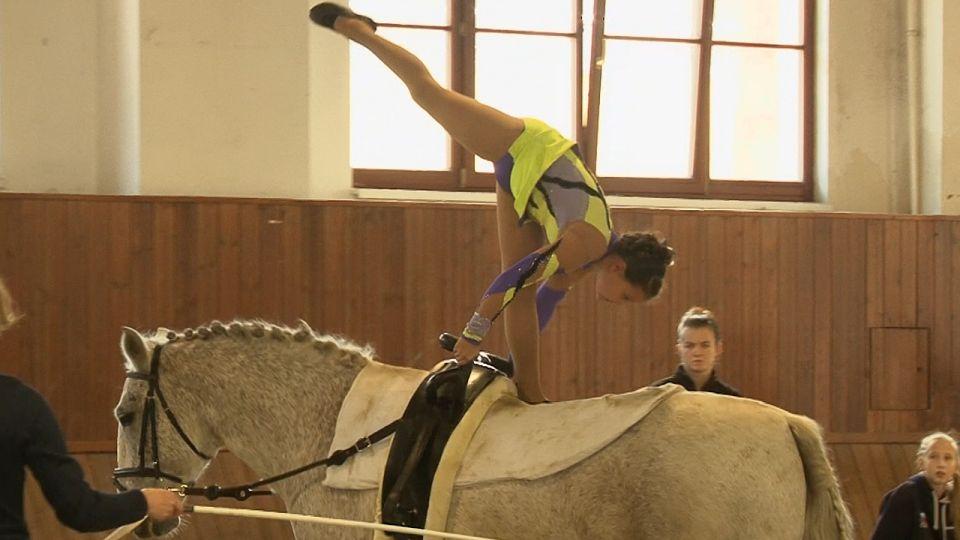 Živě: Sledujte MČR v paravoltiži 2021 na EquiTV.cz. Hostí jej VFU Brno