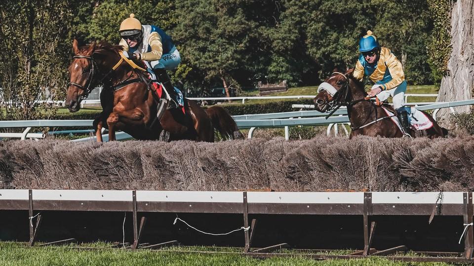 Stájové duely v Pardubicích: Roncal porazil Azteka, Giannina Kmotra