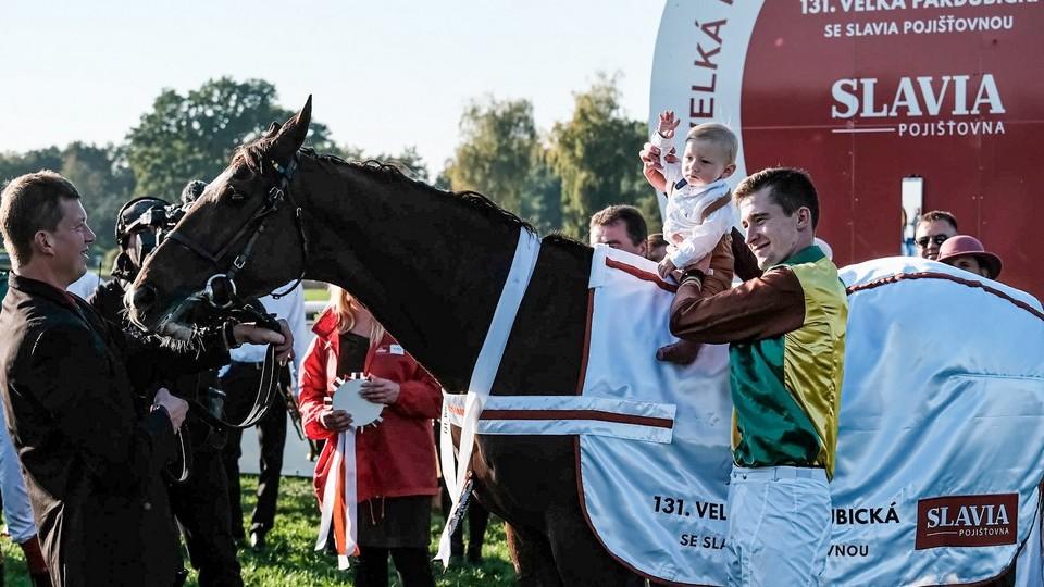 Radost českého chovu! Velkou pardubickou vyhrál Talent se Složilem