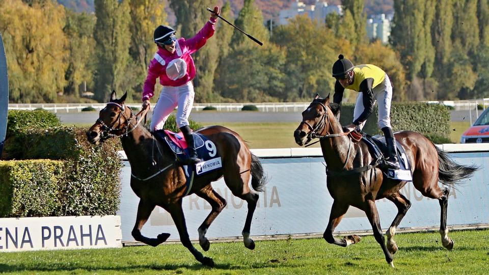 "Dámy v růžovém" daly šach mat. Cenu prezidenta vyhrála Lady In Pink