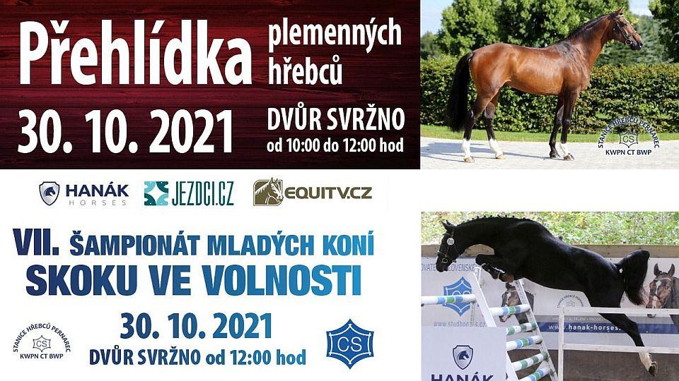 Živě: Skok ve volnosti opět ve Svržně. Šampionát mladých koní posedmé