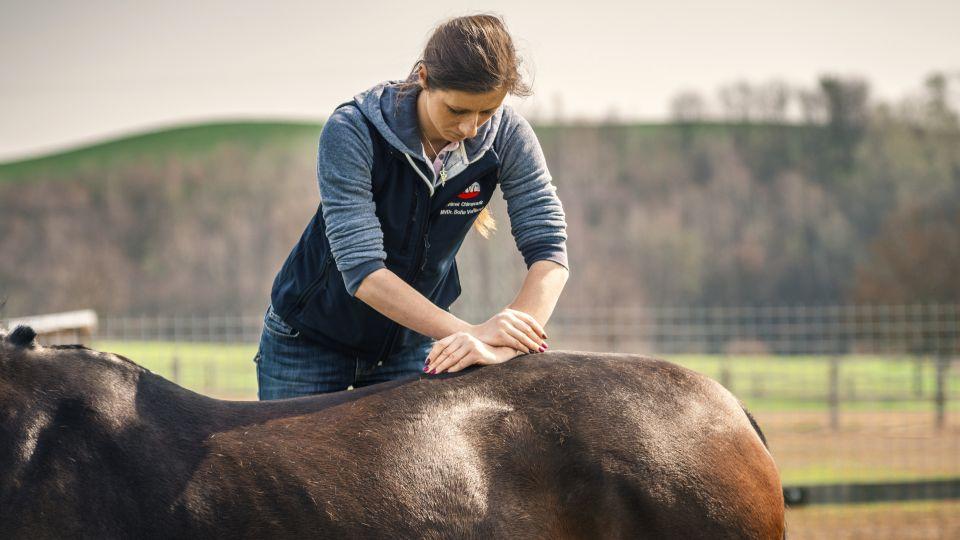 Soňa Vaňková: Už od malička jsem věřila, že budu veterinářkou