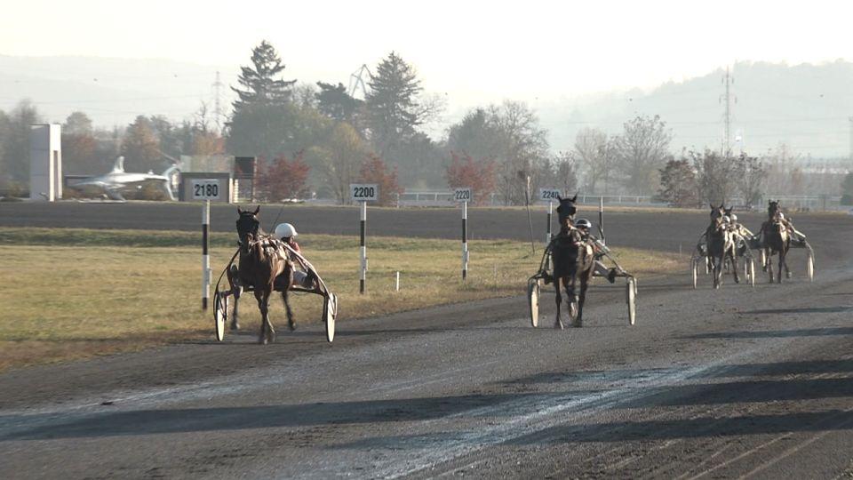 Equinews: Ve Svržně se skákalo ve volnosti. V Chuchli padla trojkoruna
