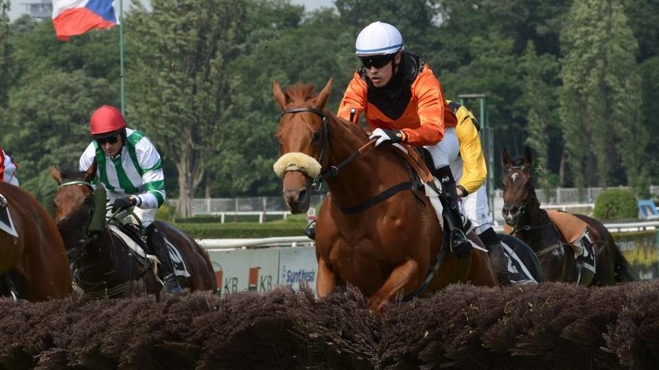 Z překážkového žokeje drezurním jezdcem. Šampion změnil disciplínu