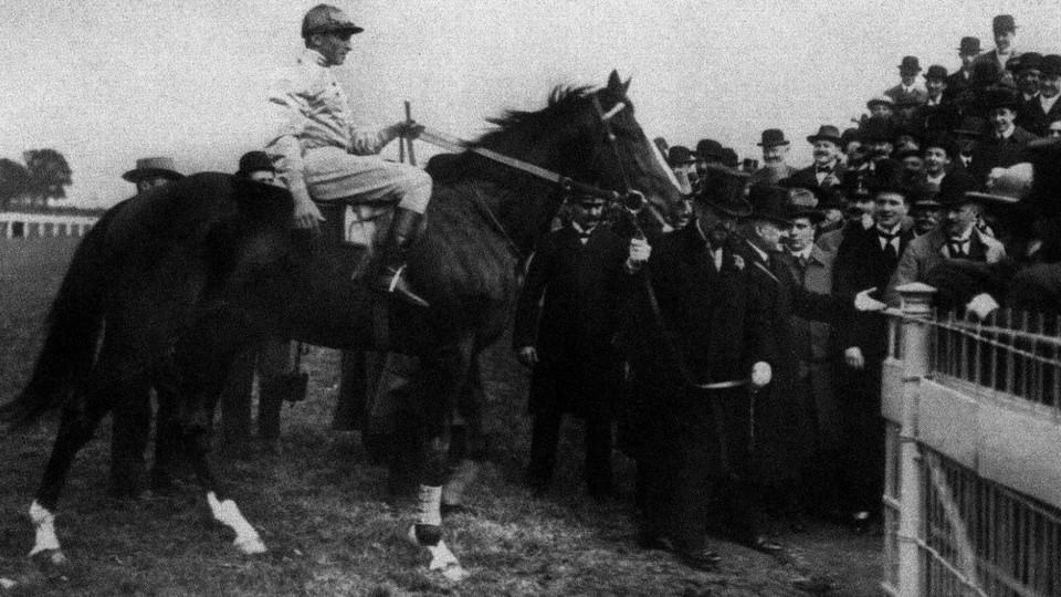 Napajedelský hřebec a uherský magnát. Vzpomínka na Confusionaria