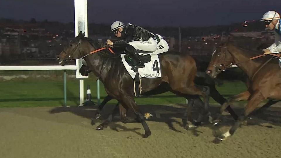 "California Chrome z Bošovic": Hank Moody vybojoval triumf v Deauville