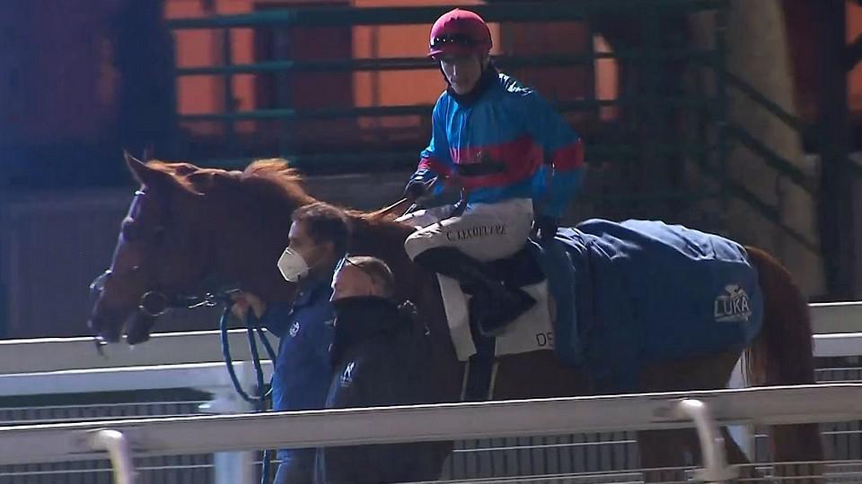 Konec jako od Walta Disneyho: Mysak Miky triumfoval v Deauville