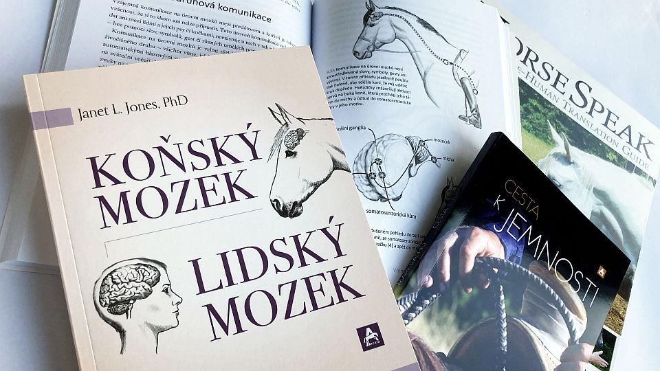 Předvánoční knižní tipy: Podívejte se do nitra koňského mozku