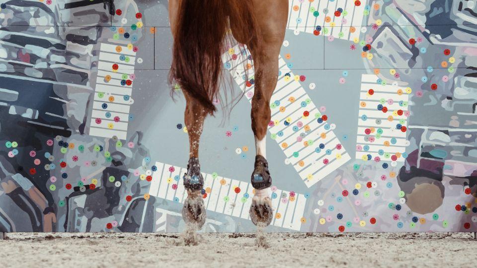 FEI diskvalifikovala egyptský olympijský tým kvůli nálezu kanabinoidu