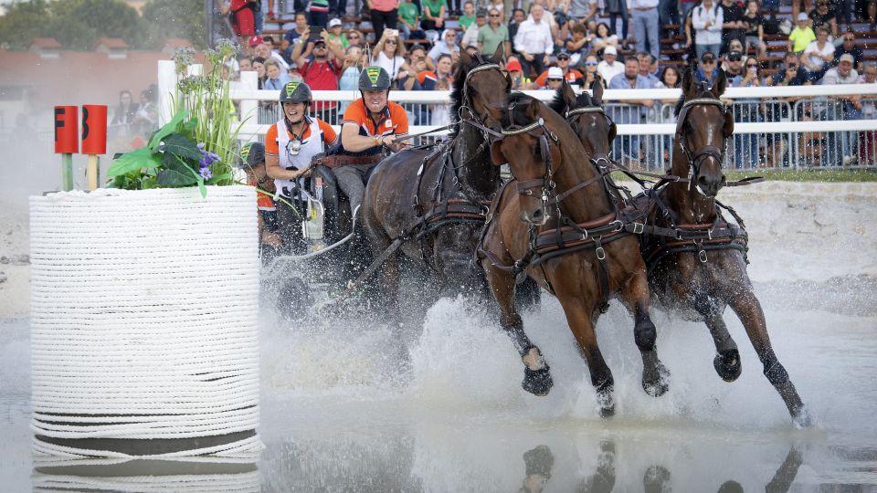 Spřežení v roce 2021. Vzpomínka na to nej z šampionátů objektivem FEI