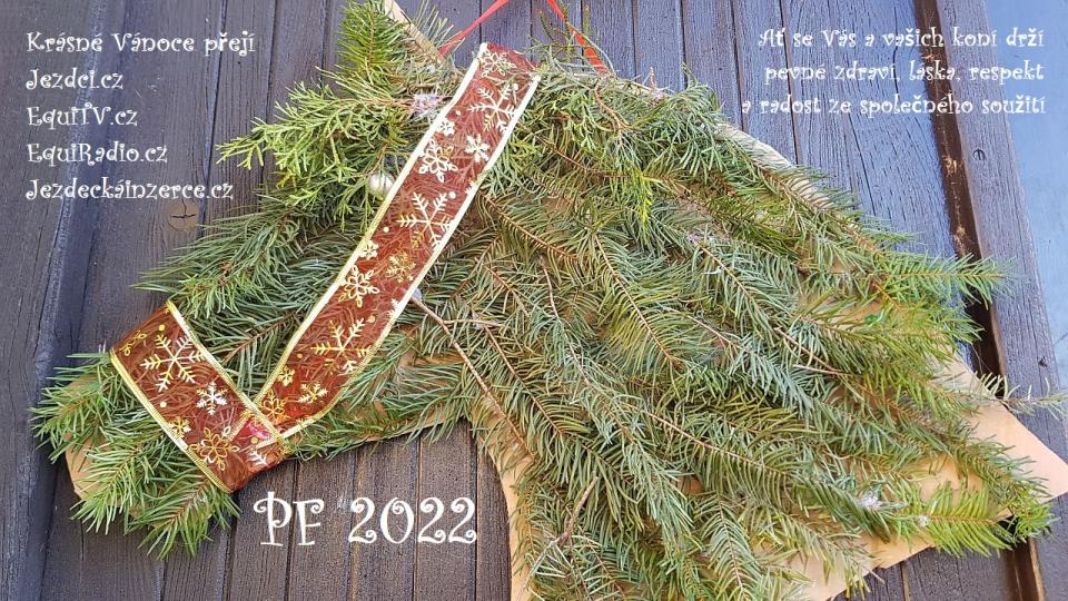 Přejeme Vám i vašim koním krásné Vánoce 2021 plné pohody a radosti