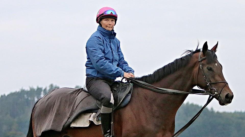 Nejlepší byl loni Partenit. Jockey Club ČR vydal novou Klasifikaci