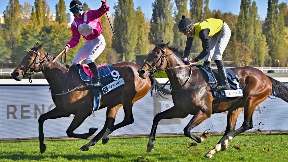 Lady In Pink diskvalifikována z Ceny prezidenta, vítězem je Orleano