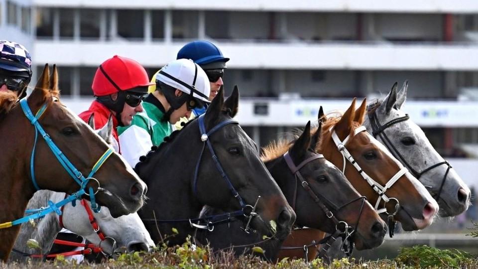 Pronikli do stáje a nadopovali favoritku. Údržbáře usvědčila kamera