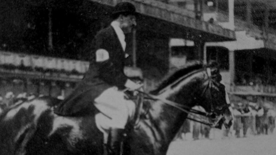 Z jízdárny na Velkou pardubickou. Jak polokrevný Remus porazil legendu