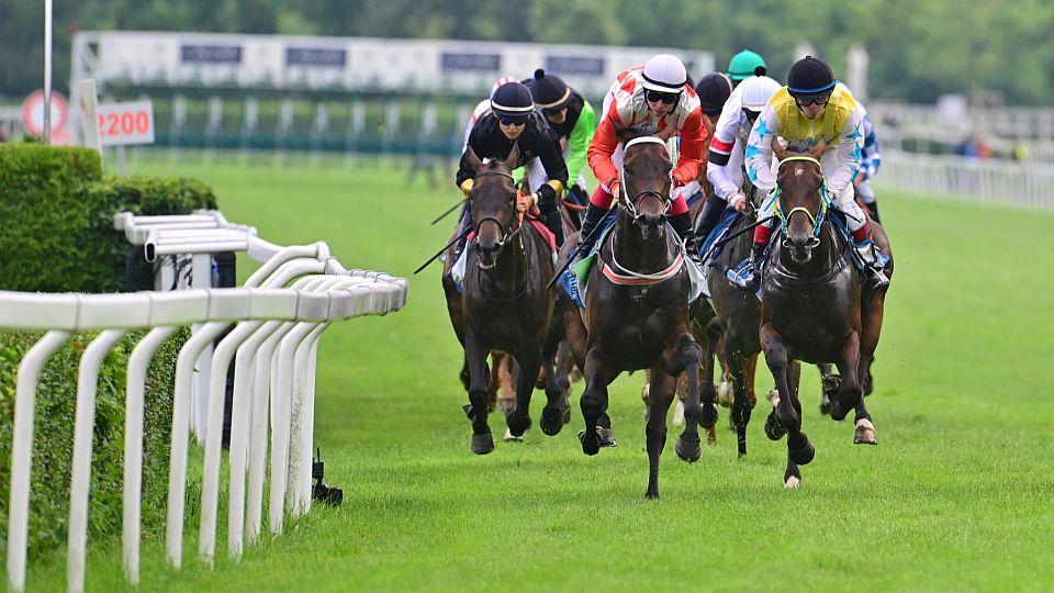 Termíny dostihů v roce 2022. Jockey Club počítá s 52 dostihovými dny