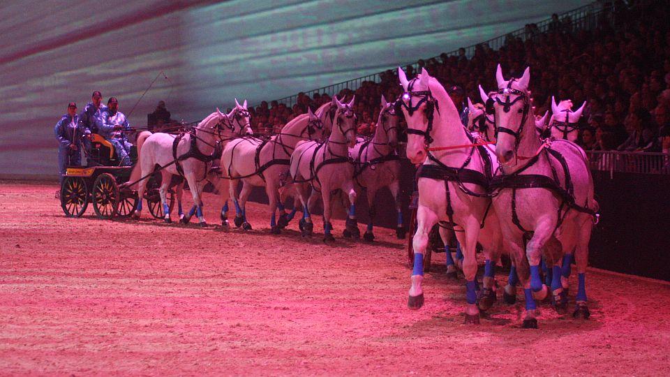 Equitana se vrací na výstaviště v Essenu. Kladrubáci v Hop Top Show