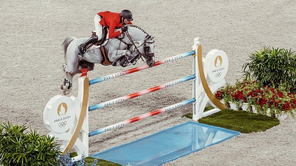 Hřebec Nevados S vydělal podle webu Hippomundo za rok přes 580.000 eur