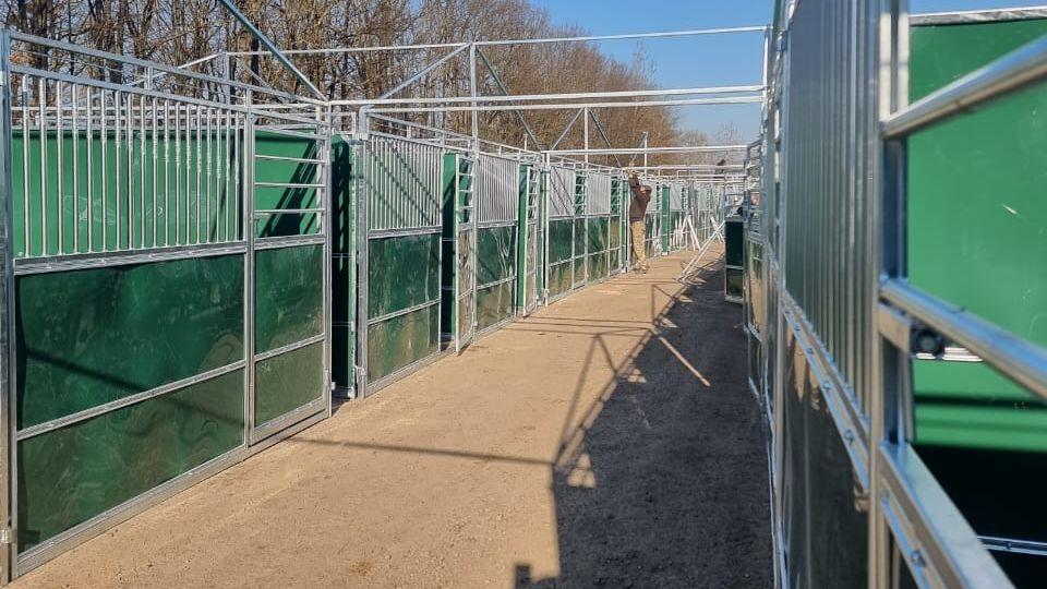 Ve Lvově vznikají evakuační stáje pro čtyřicet koní. Potřeba je senáž