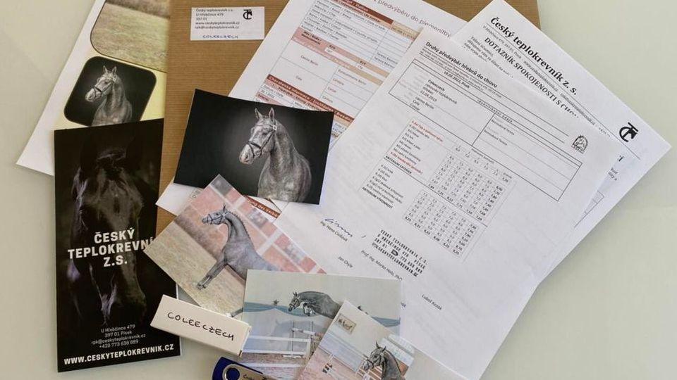 Kdo povede spolek Český teplokrevník další čtyři roky? Volby se blíží