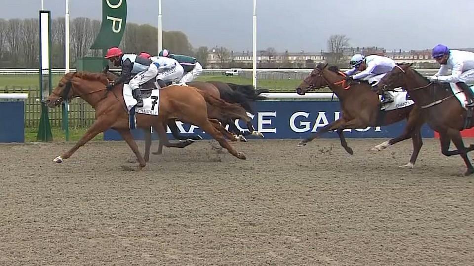 První letošní vítěz Václava Luky: Cassal ovládl prodejku v Chantilly