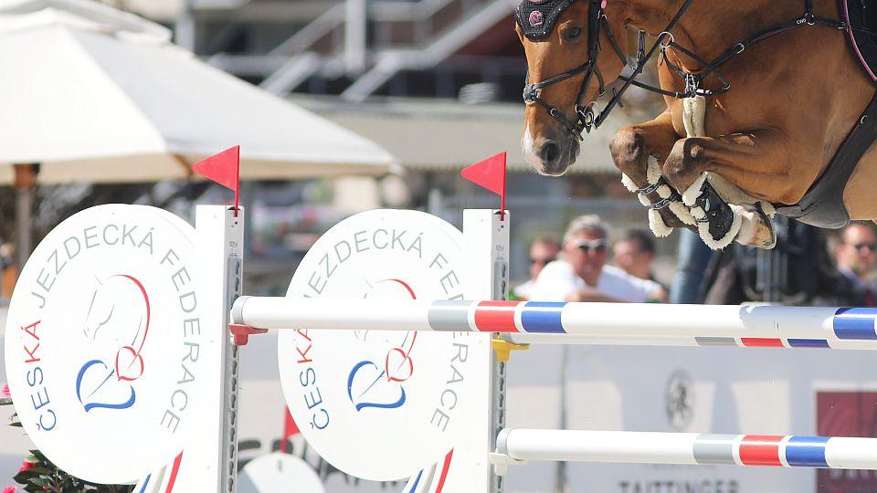 Jak zajistit stabilní financování ČJF? Řešením je zvýšení poplatků