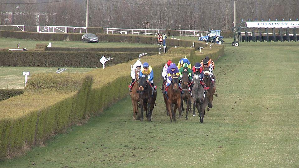 Equinews: Queen Of Beaufay zářila v Mostě. Channel Star ovládl Štětina
