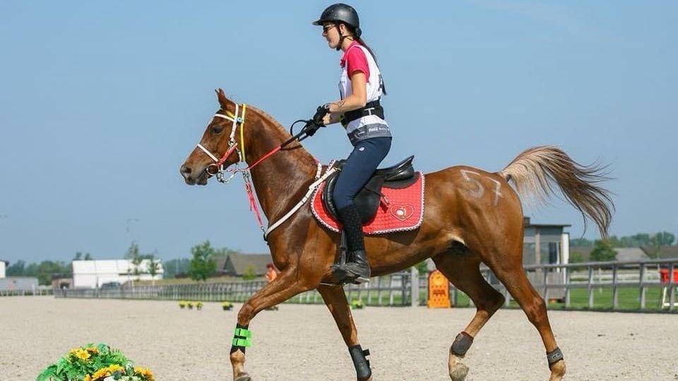 Pády a vzestupy valacha Hafida. Naděje na návrat do sportu zůstává