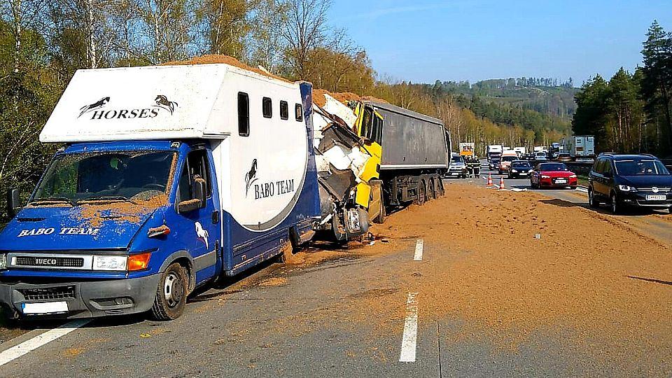 Tragická nehoda na D1. Dva koně nepřežili náraz kamionu do přívěsu