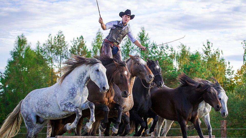 Od hraní s koňmi až po show Equitana. Miloslav Simandl si splnil sen